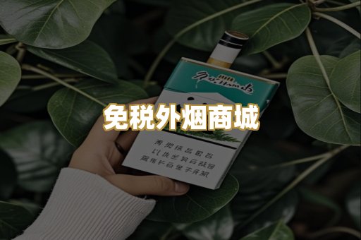 免税外烟商城